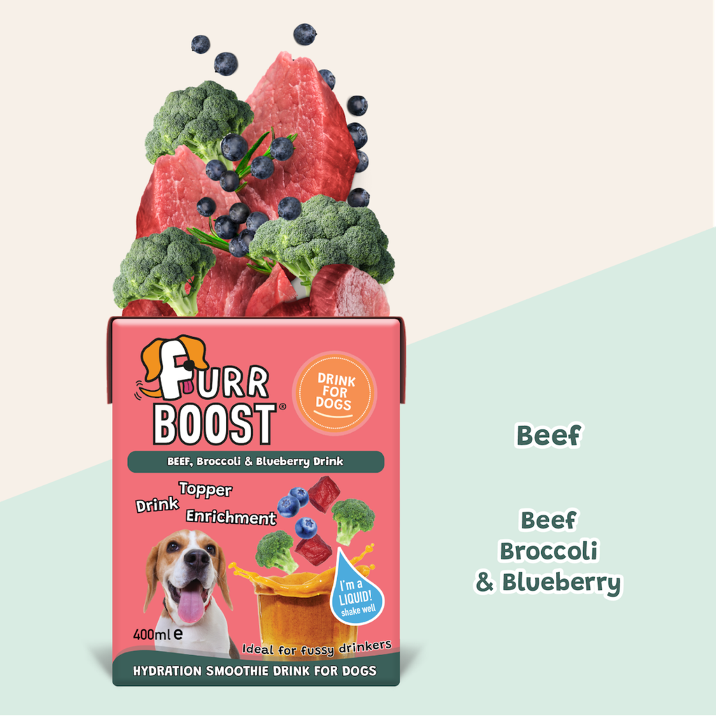 Furr Boost Beef Broccoli and Blueberry Dog Drink - 400ml