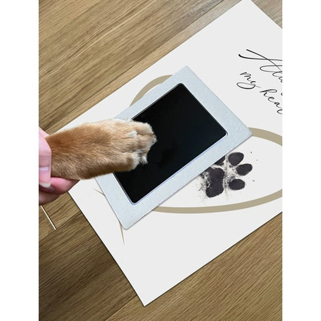 Oh So Precious Paw Print Ink Picture Frame - A5