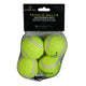 Hyper Pet Tennis Balls - Pack of 4