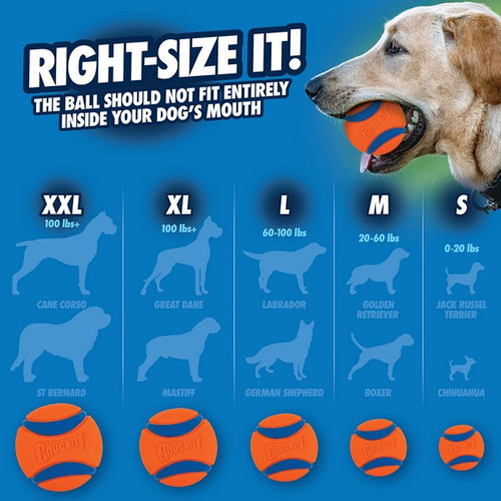 Chuckit Ultra Tug Duo - Medium
