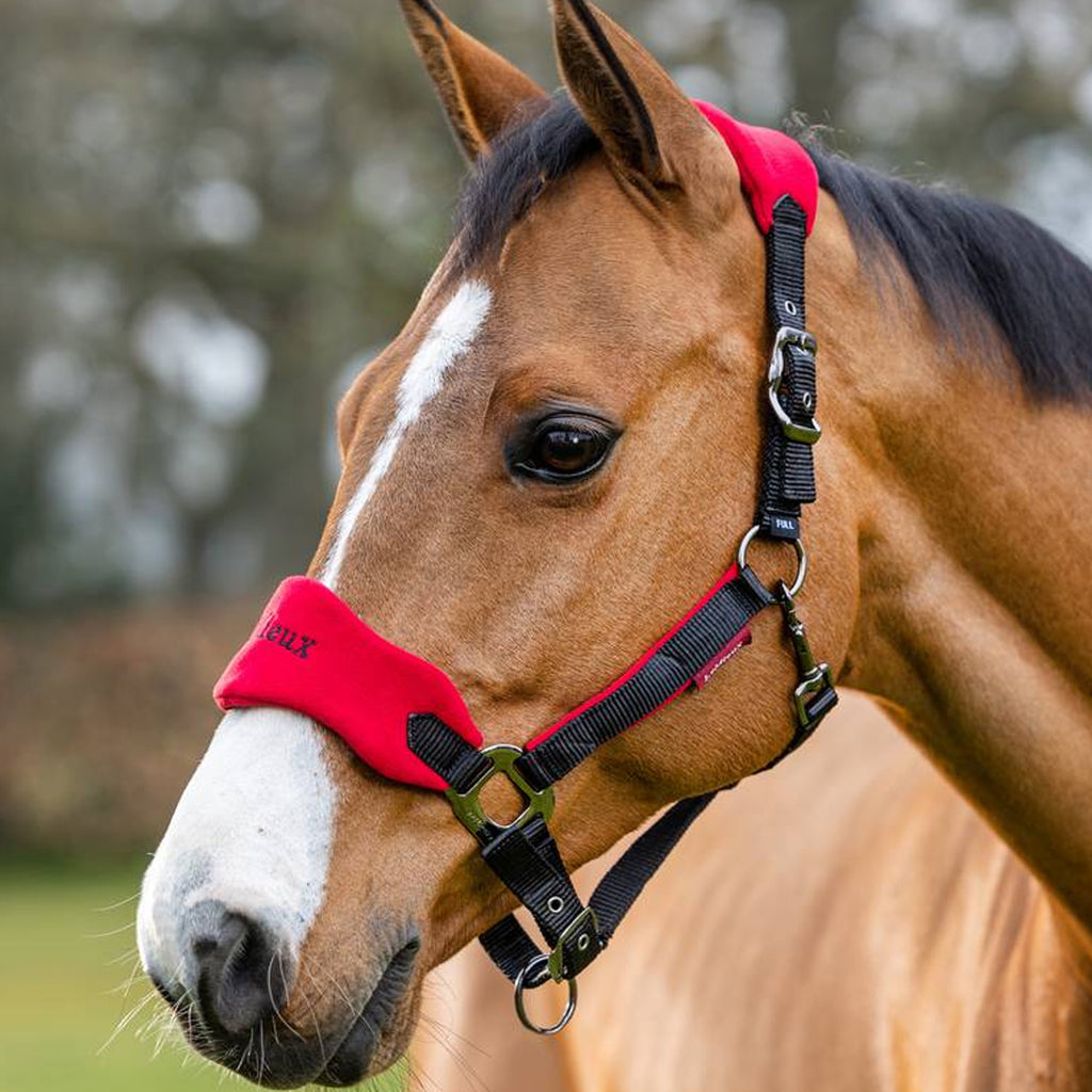 LeMieux Vogue Headcollar and Leadrope - Chilli