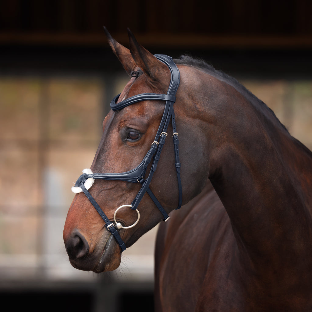 Velociti Lusso Elite Grackle Bridle - Black