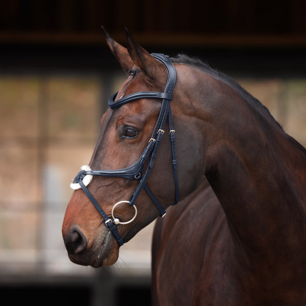 Velociti Lusso Elite Grackle Bridle - Black