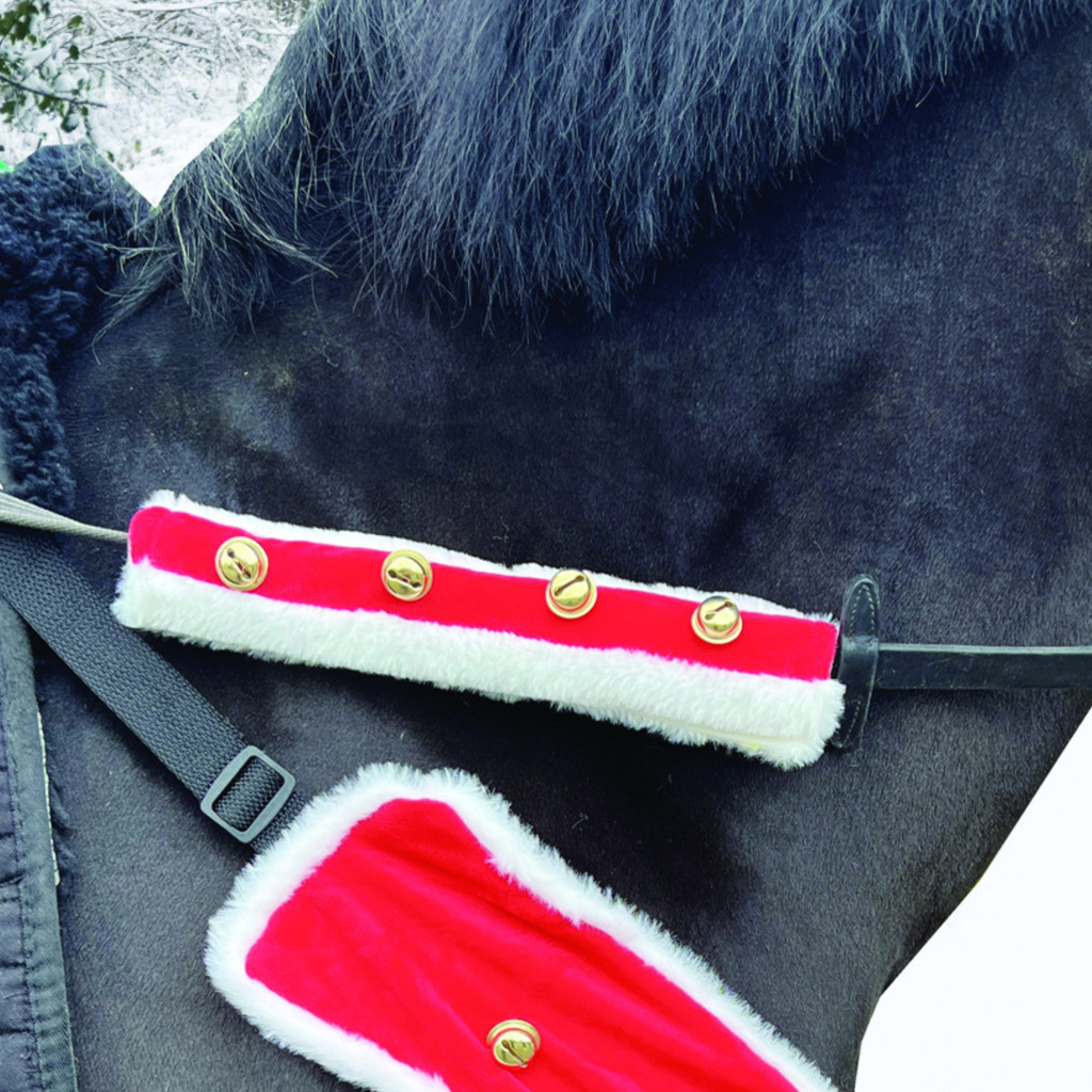 Equetech Sleigh Bell Bridle Accessories