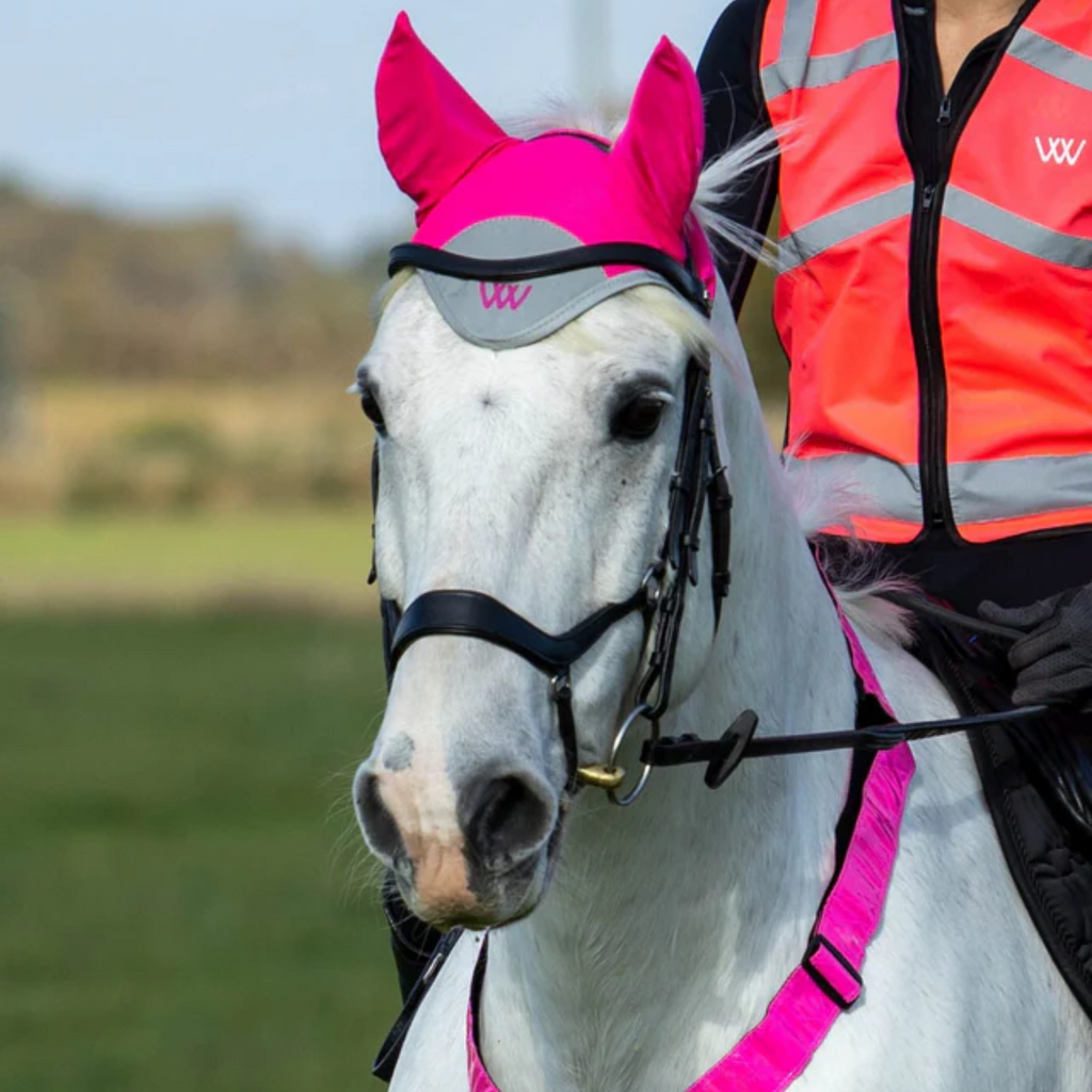 Woof Wear Hi Vis Fly Veil - Pink