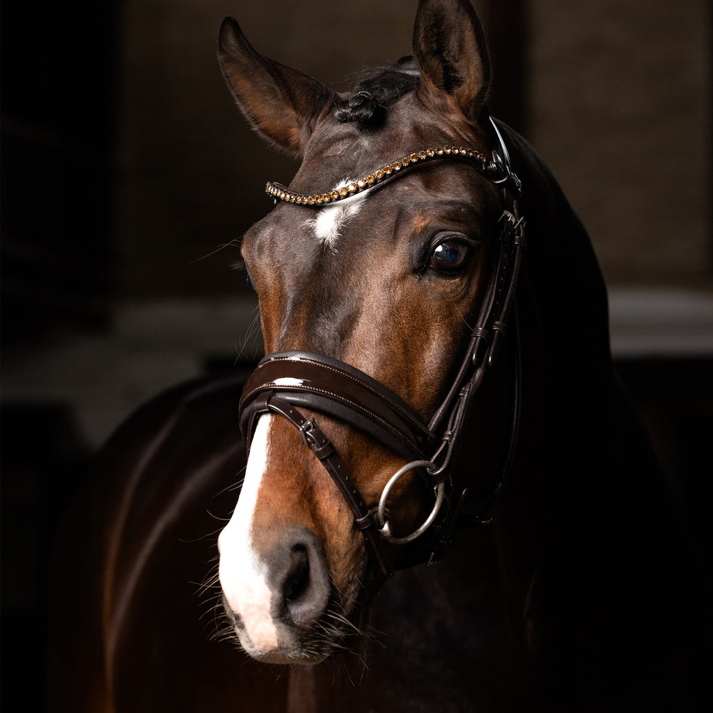 LeMieux Kudos Patent Dressage Bridle - Brown