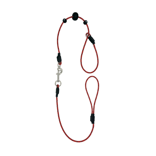 Sporting Saint Field Trial PRO Lead - All In One