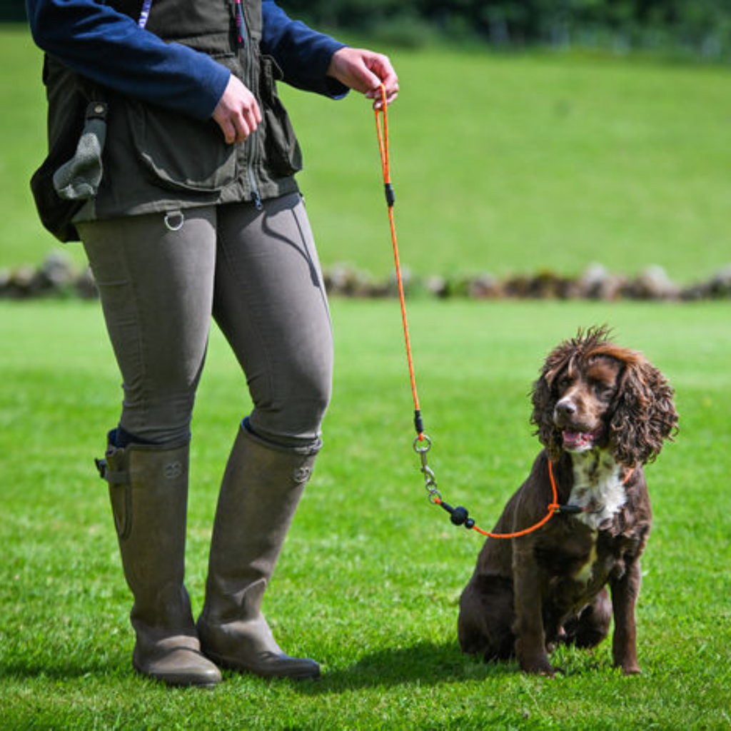 Sporting Saint Field Trial PRO Lead - All In One