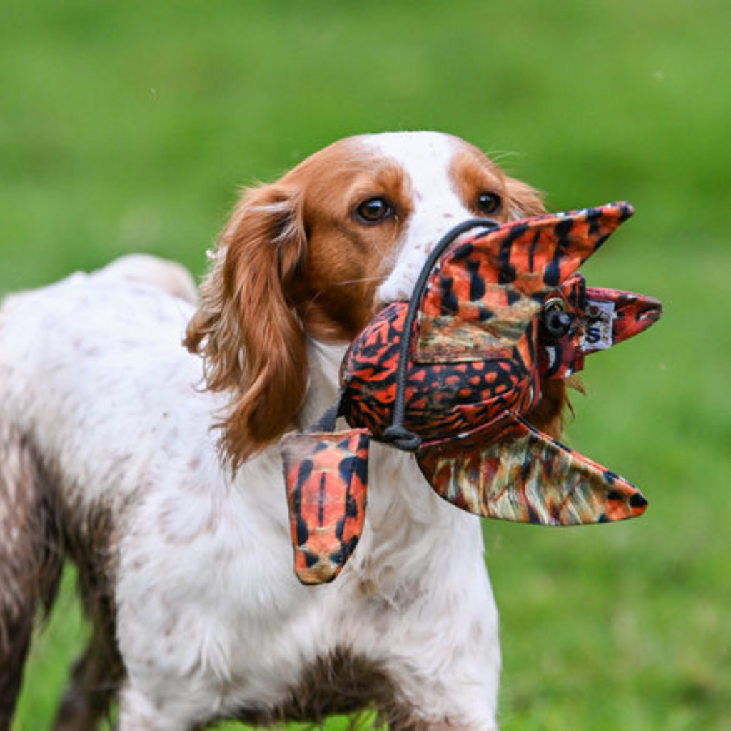 Sporting Saint Mini Dead Bird Dummy - Cock Pheasant