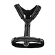 Sprenger Foal Harness - Black