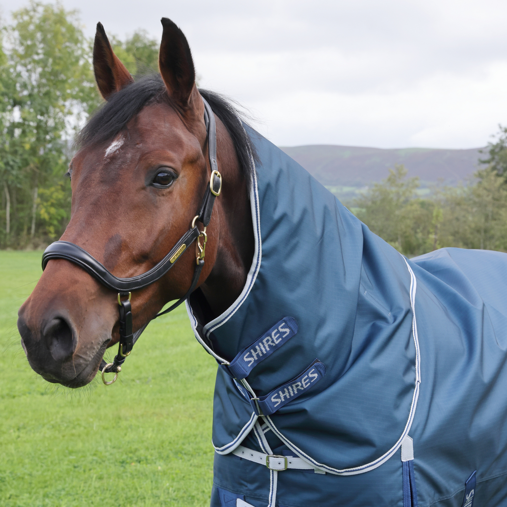 Highlander Original 50 Turnout Rug And Neck Set - Ocean