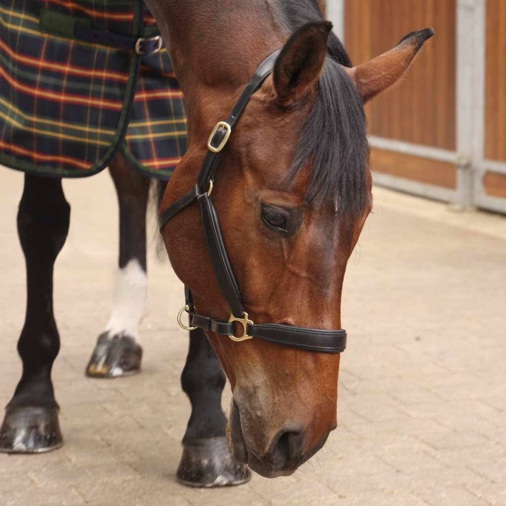Tempest Plus Lite Stable Rug - Green Tartan