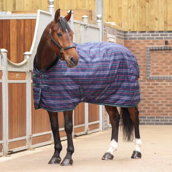 Tempest Plus 100 Stable Rug - Navy Tartan