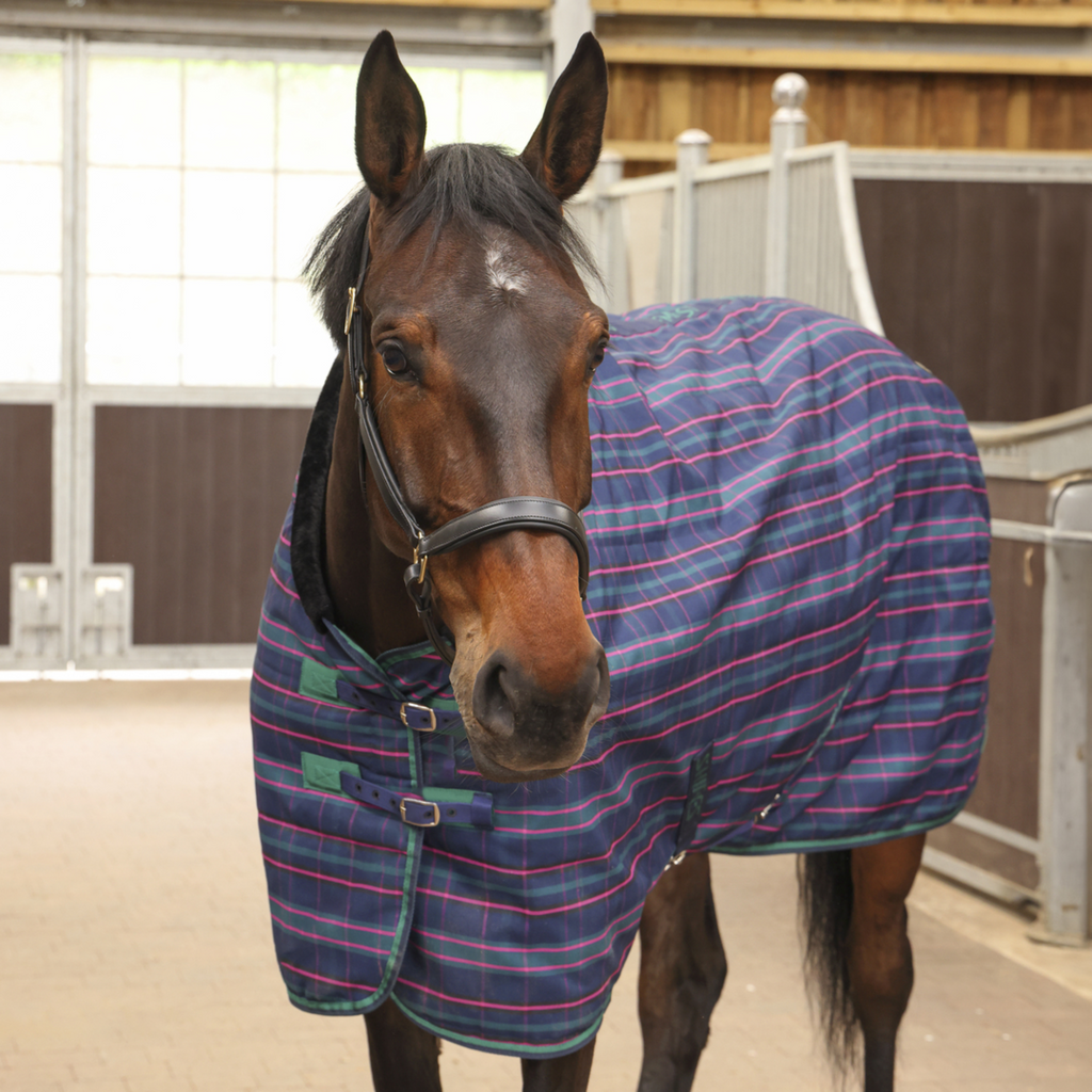Tempest Plus 100 Stable Rug - Navy Tartan