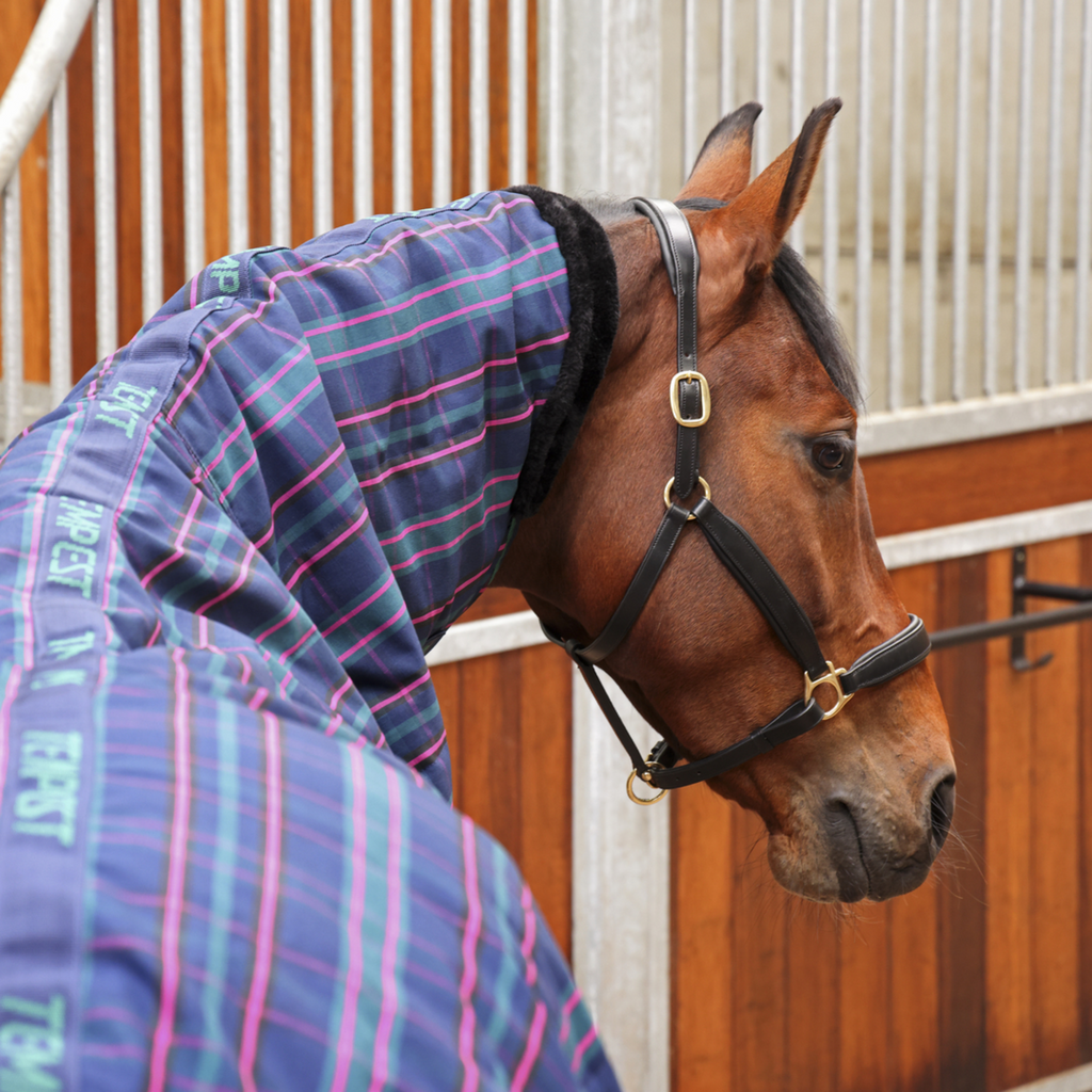 Tempest Plus 100 Combo Stable Rug - Navy Tartan