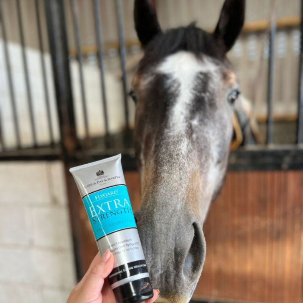 Carr Day Martin Flygard Extra Strength Gel - 250ml