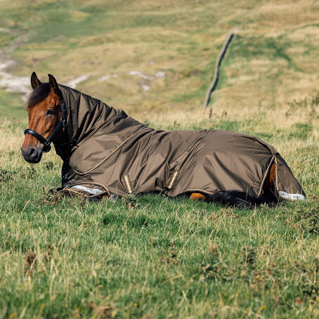 LeMieux Arika Ripstop 100g Turnout - Alpine
