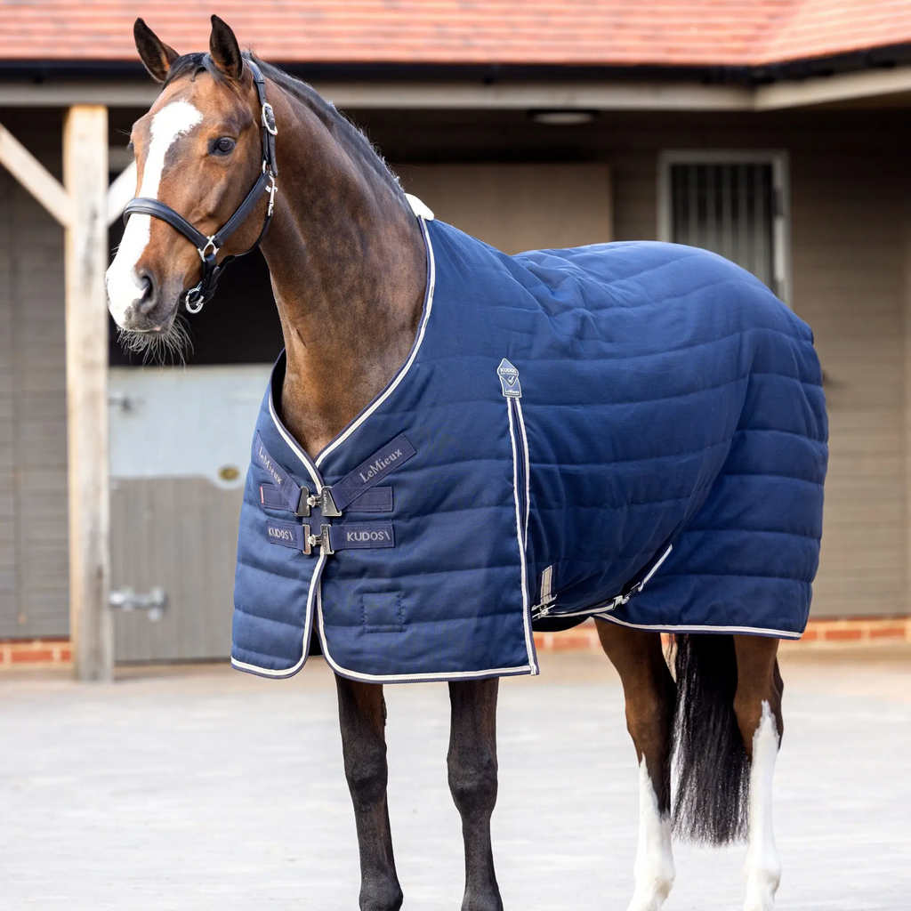 LeMieux Kudos 100g Stable Rug - Navy