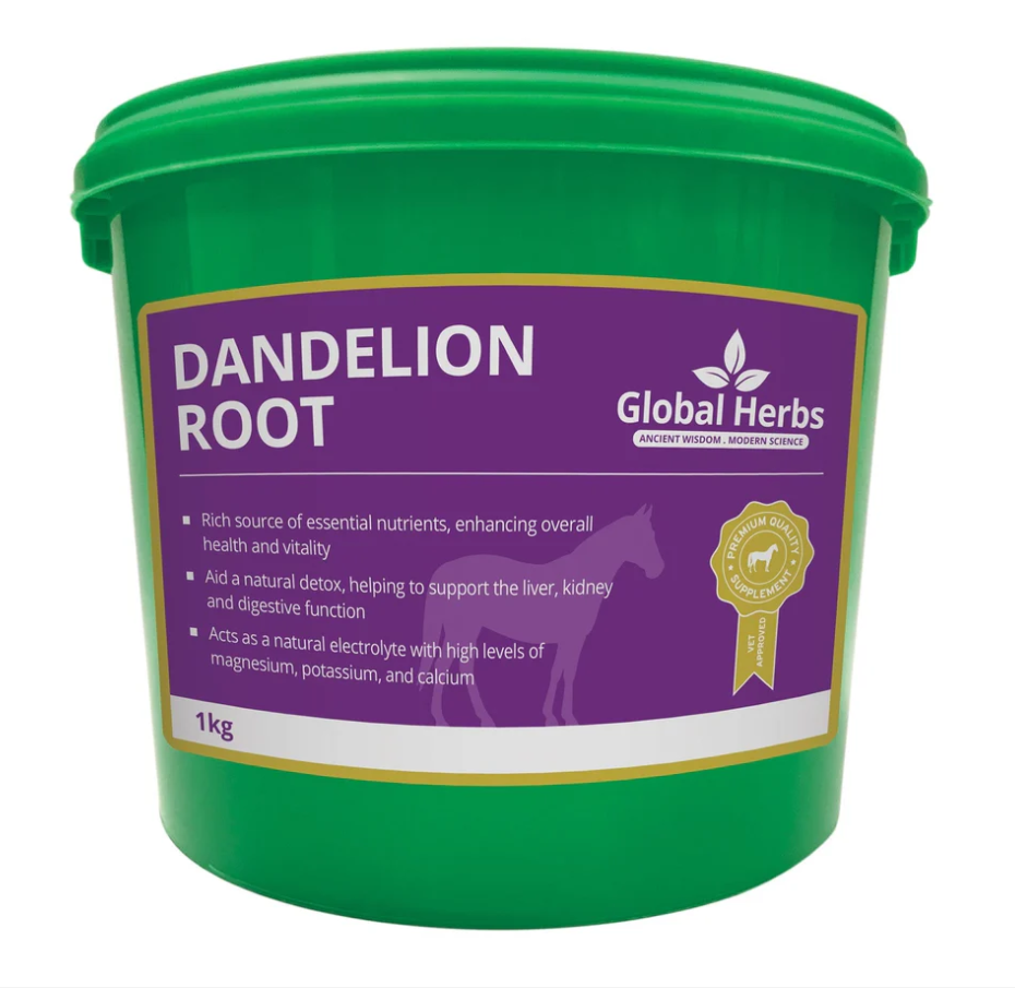 Global Herbs Dandelion Root - 1kg