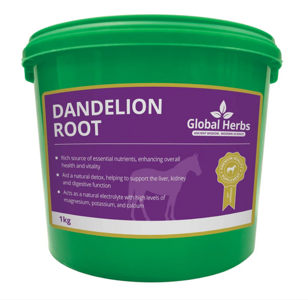 Global Herbs Dandelion Root - 1kg