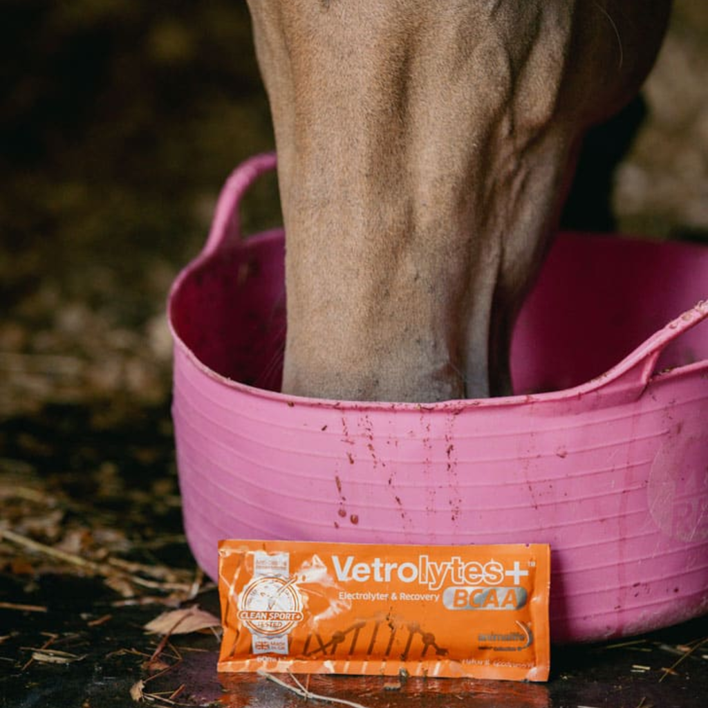 Animalife Vetrolytes Plus Sachet - 60ml