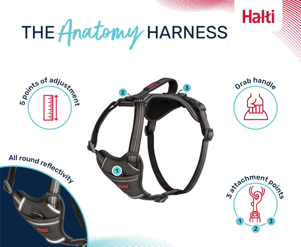 Halti Anatomy Harness - Grey