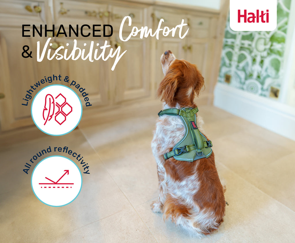 Halti Anatomy Harness - Teal