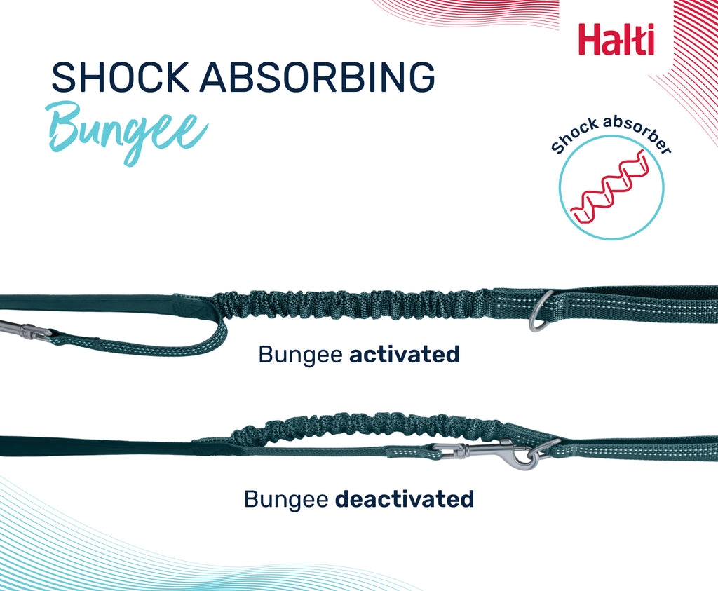 Halti Anatomy Multi Lead - Grey