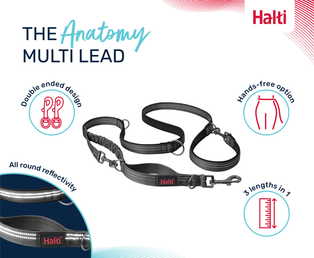 Halti Anatomy Multi Lead - Grey
