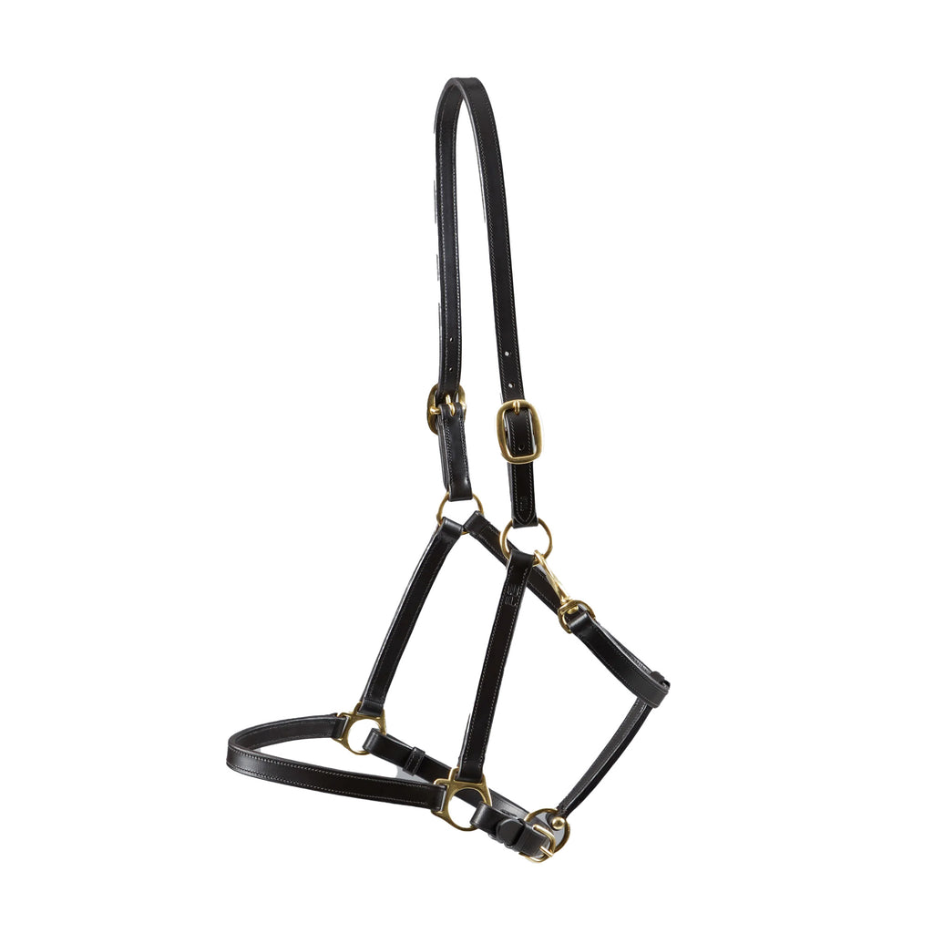 Premier Equine Pasco Plain Leather Head Collar - Brown