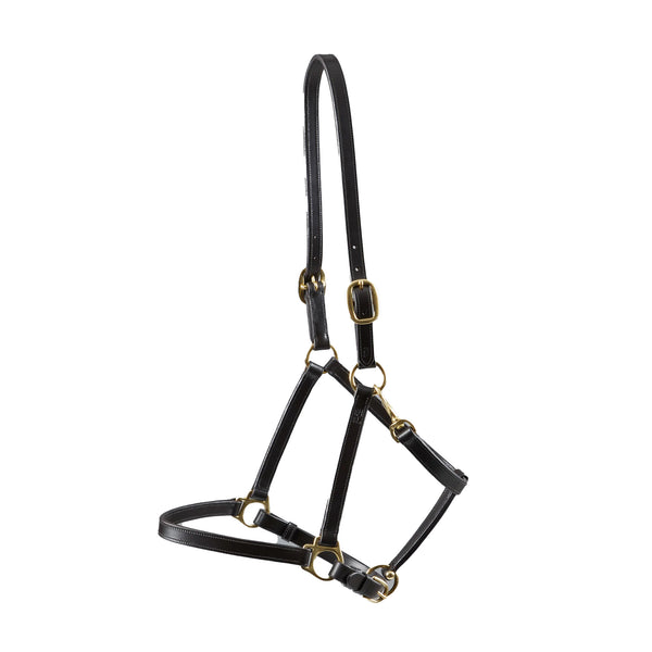 Premier Equine Pasco Plain Leather Head Collar - Brown