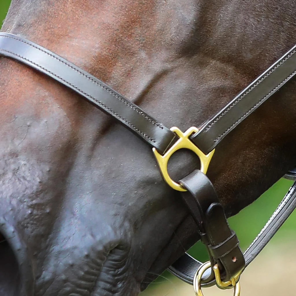 Premier Equine Pasco Plain Leather Head Collar - Brown