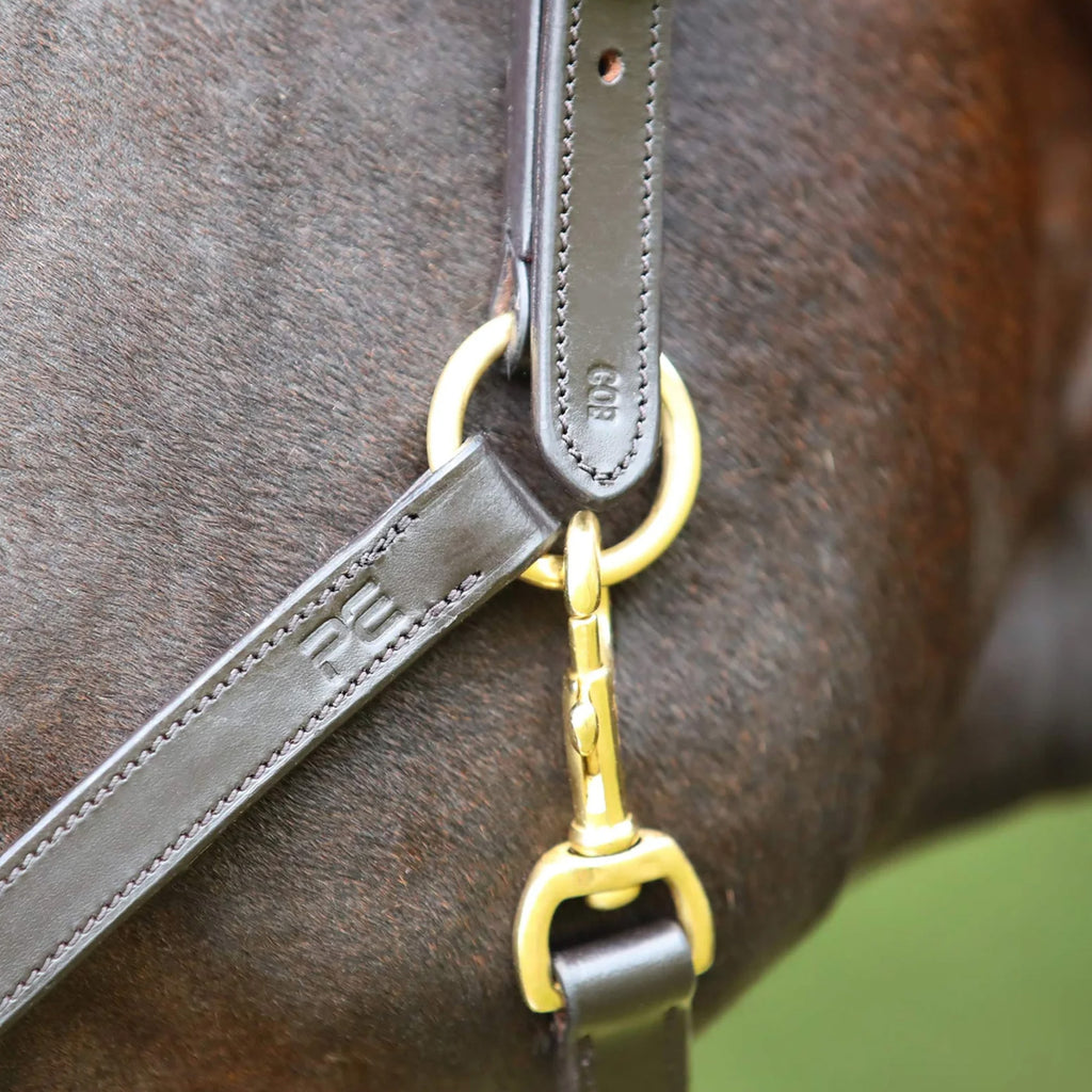 Premier Equine Pasco Plain Leather Head Collar - Brown