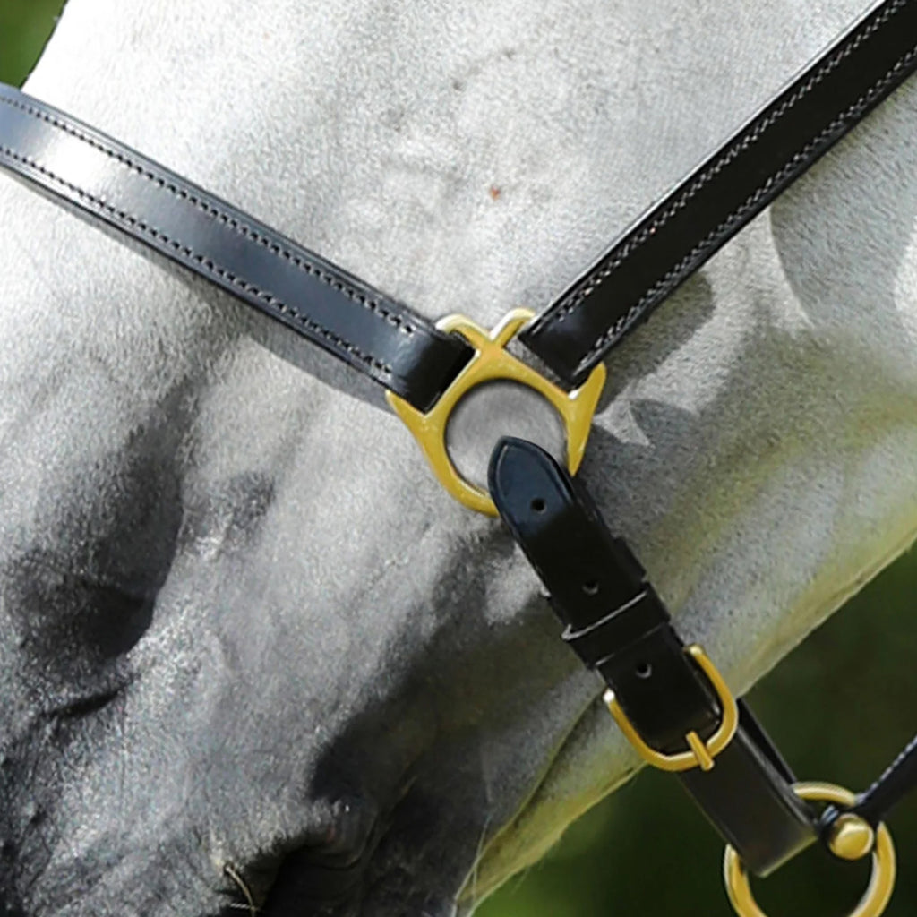 Premier Equine Pasco Plain Leather Head Collar - Black