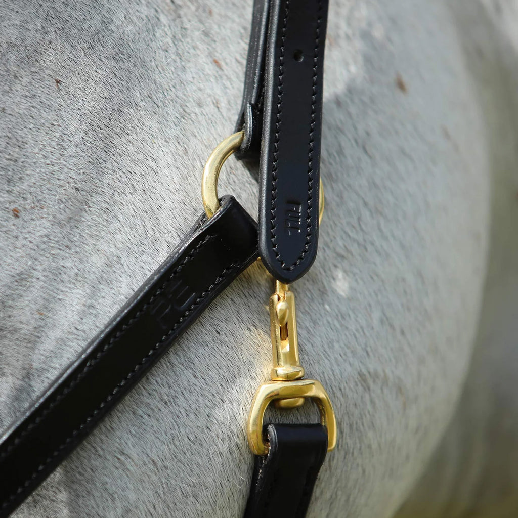 Premier Equine Pasco Plain Leather Head Collar - Black