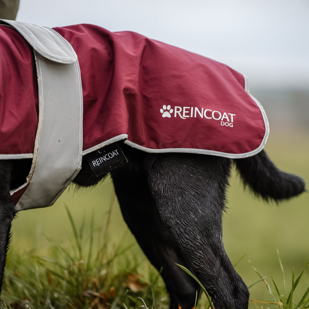 Reincoat Dog Coat - Burgundy