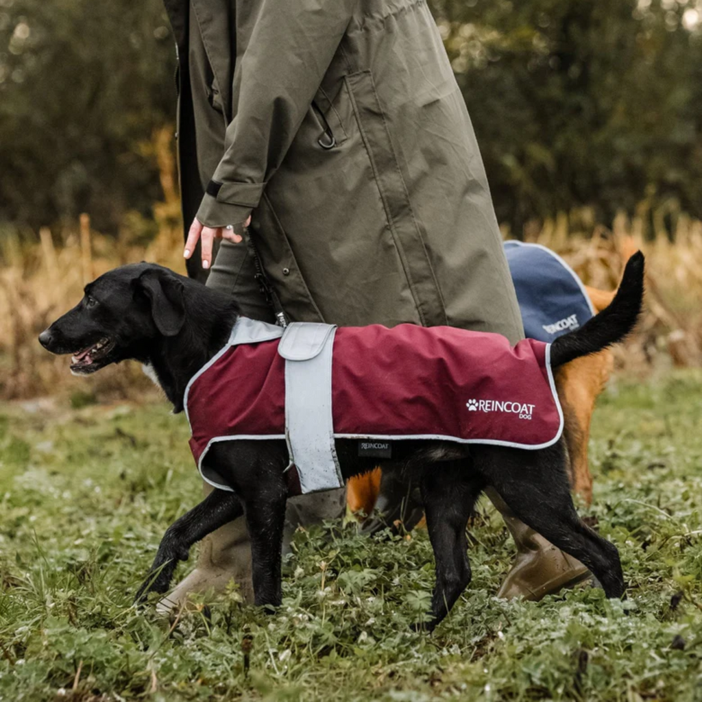 Reincoat Dog Coat - Burgundy