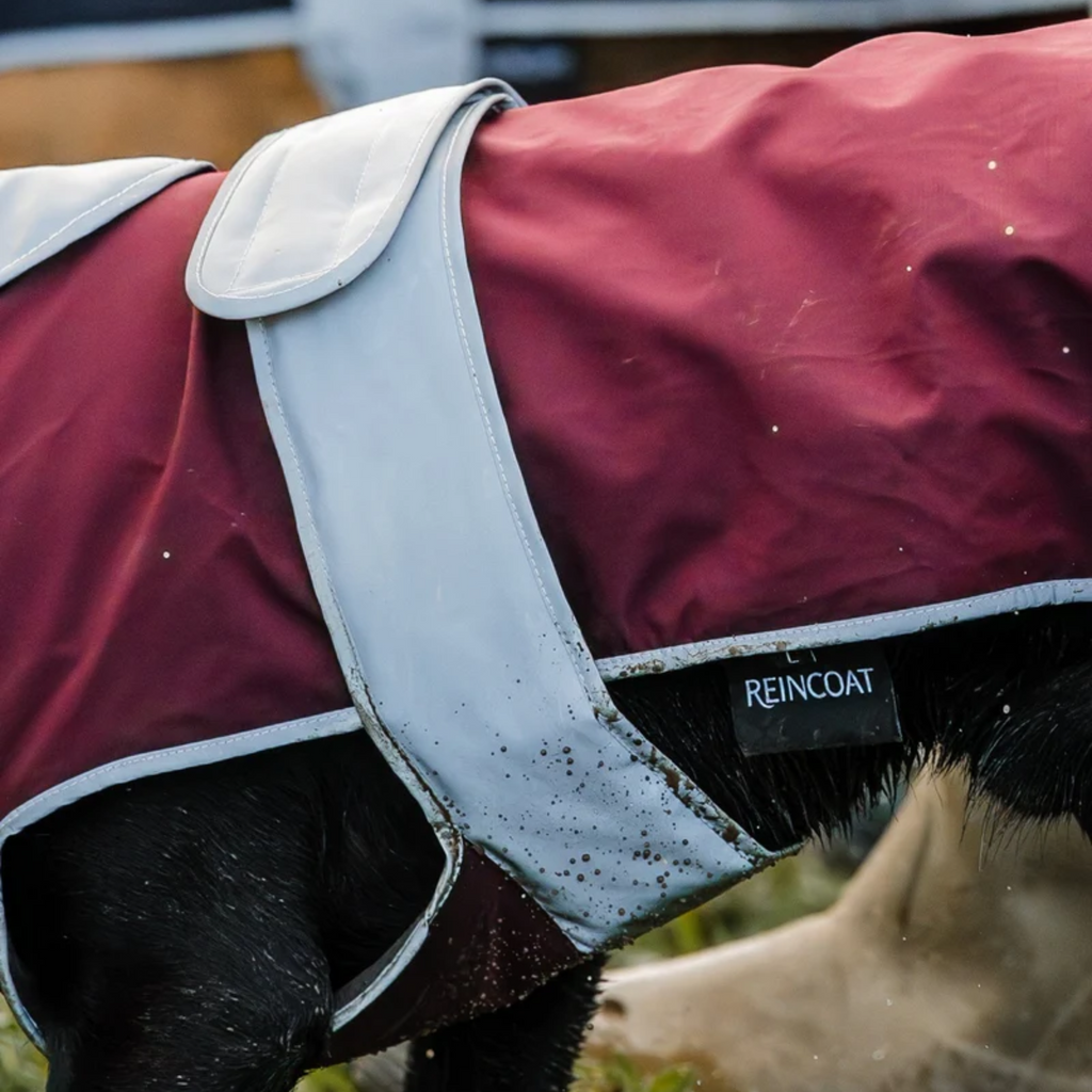 Reincoat Dog Coat - Burgundy