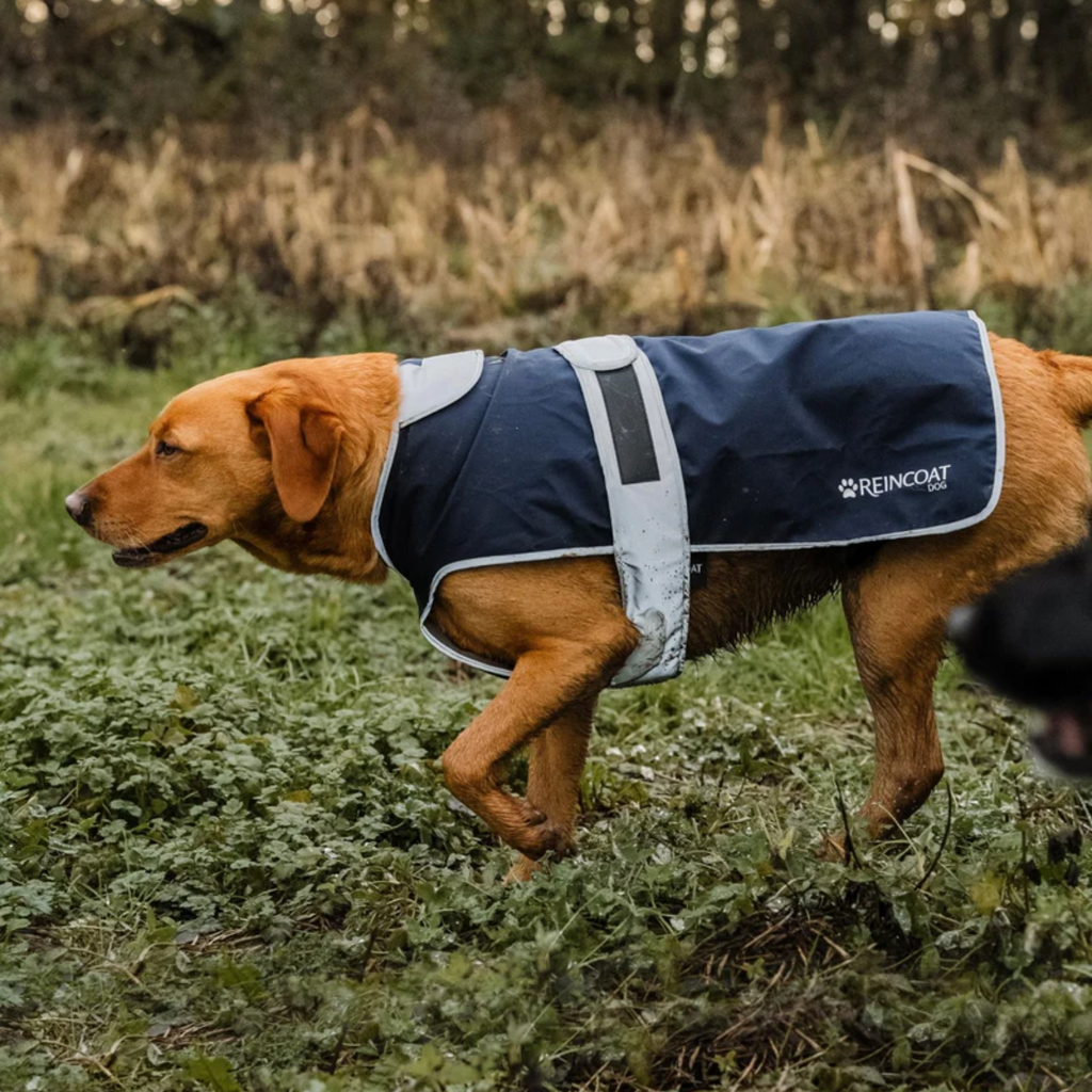 Reincoat Dog Coat - Midnight Navy