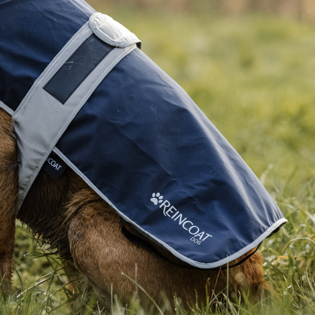 Reincoat Dog Coat - Midnight Navy