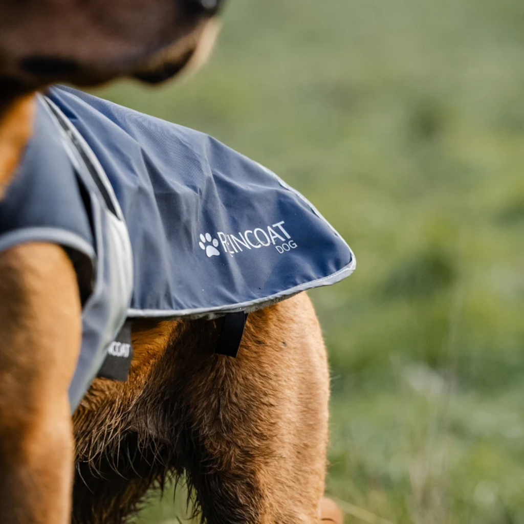 Reincoat Dog Coat - Midnight Navy