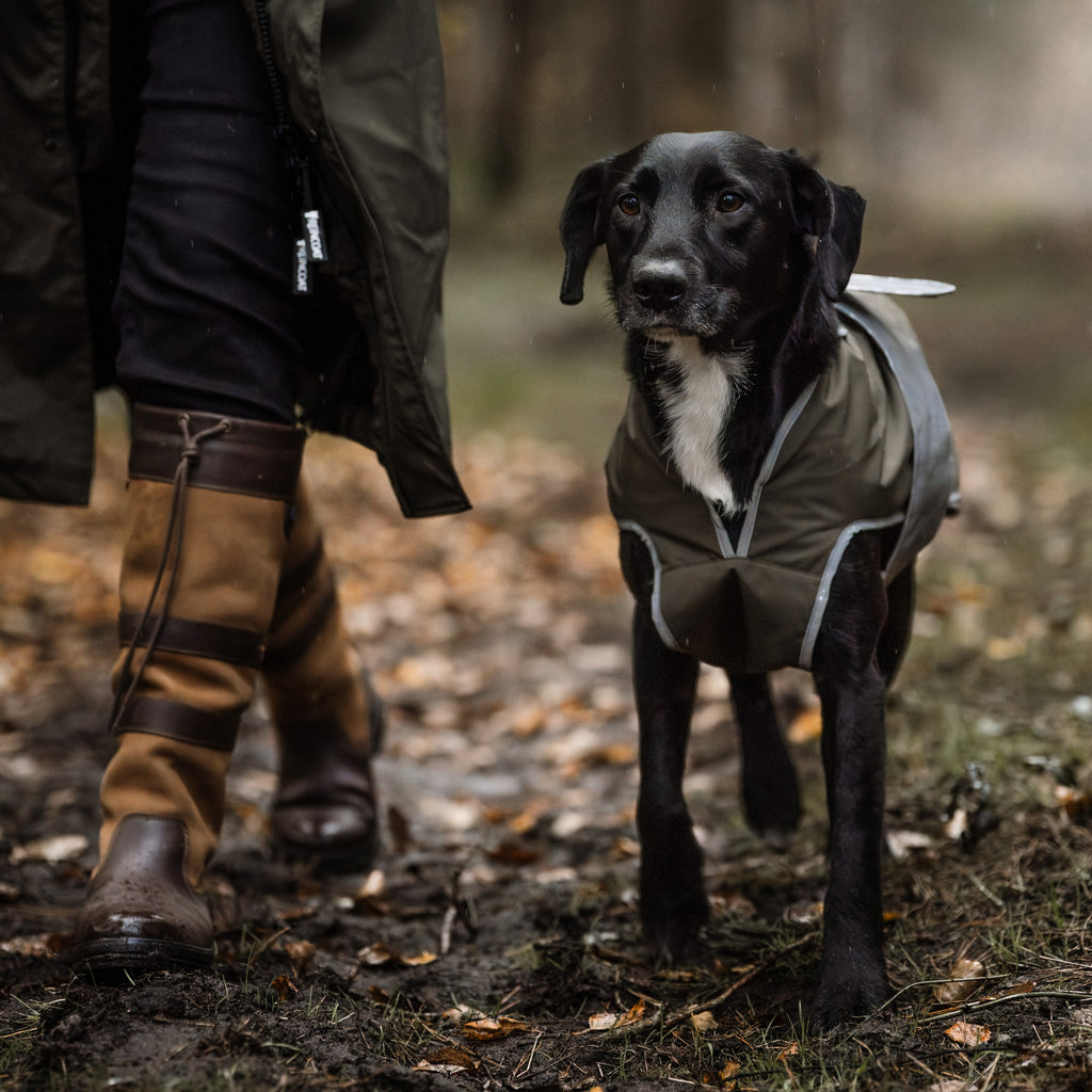Reincoat Dog Coat - Olive