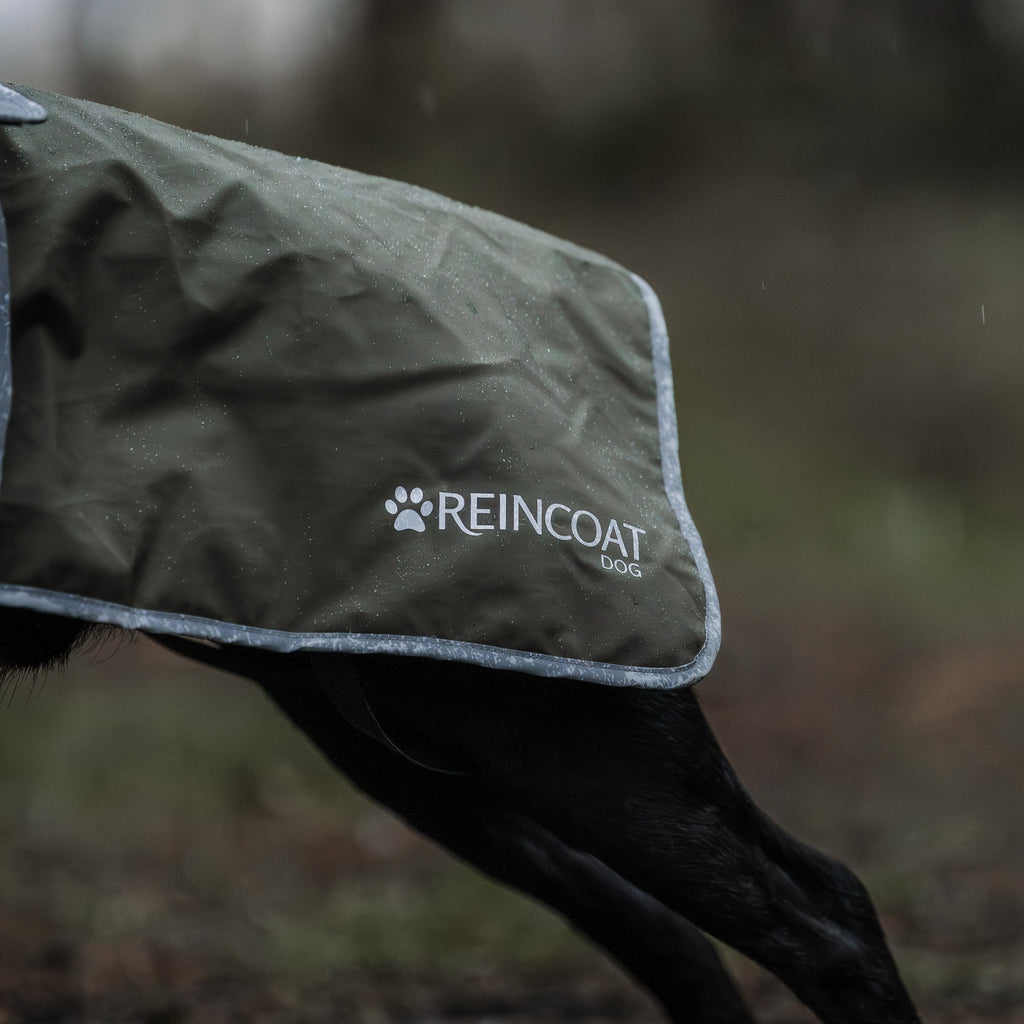Reincoat Dog Coat - Olive
