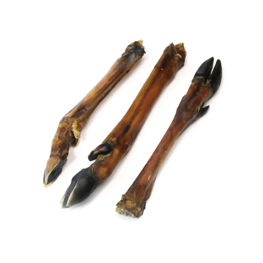 JR Pet Products Venison Leg