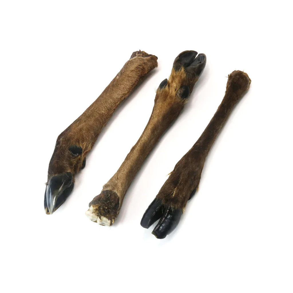 JR Pet Products Venison Leg with Fur
