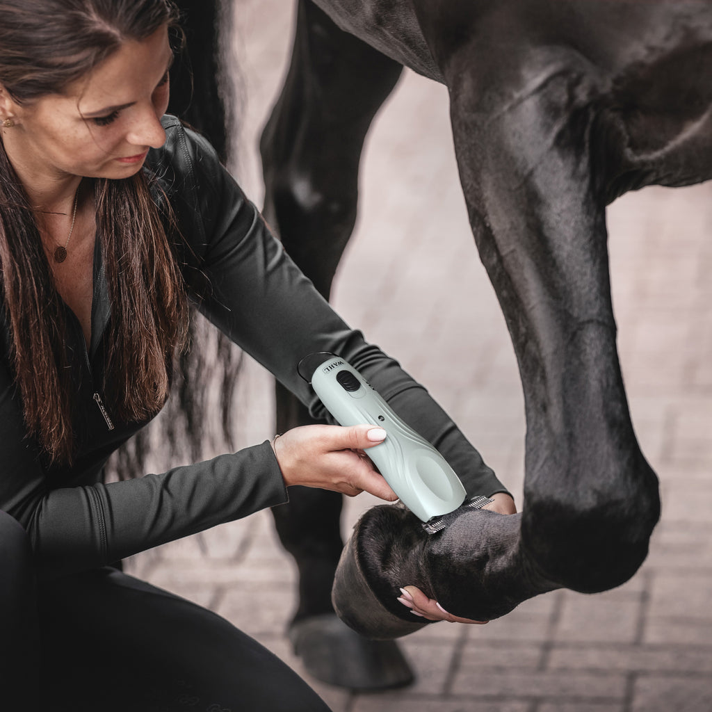 Wahl KMC+ Equine Clipper