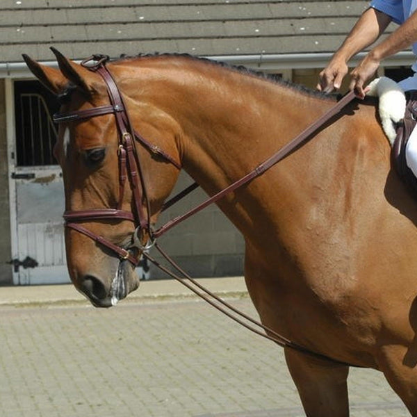 John Whitaker Training Rein - Brown