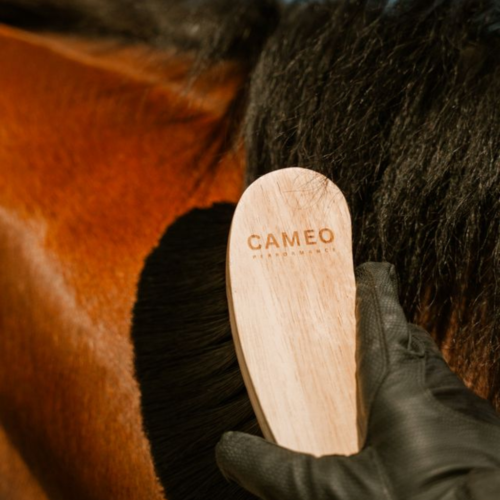 Cameo Deep Clean Horse Hair Dandy Brush