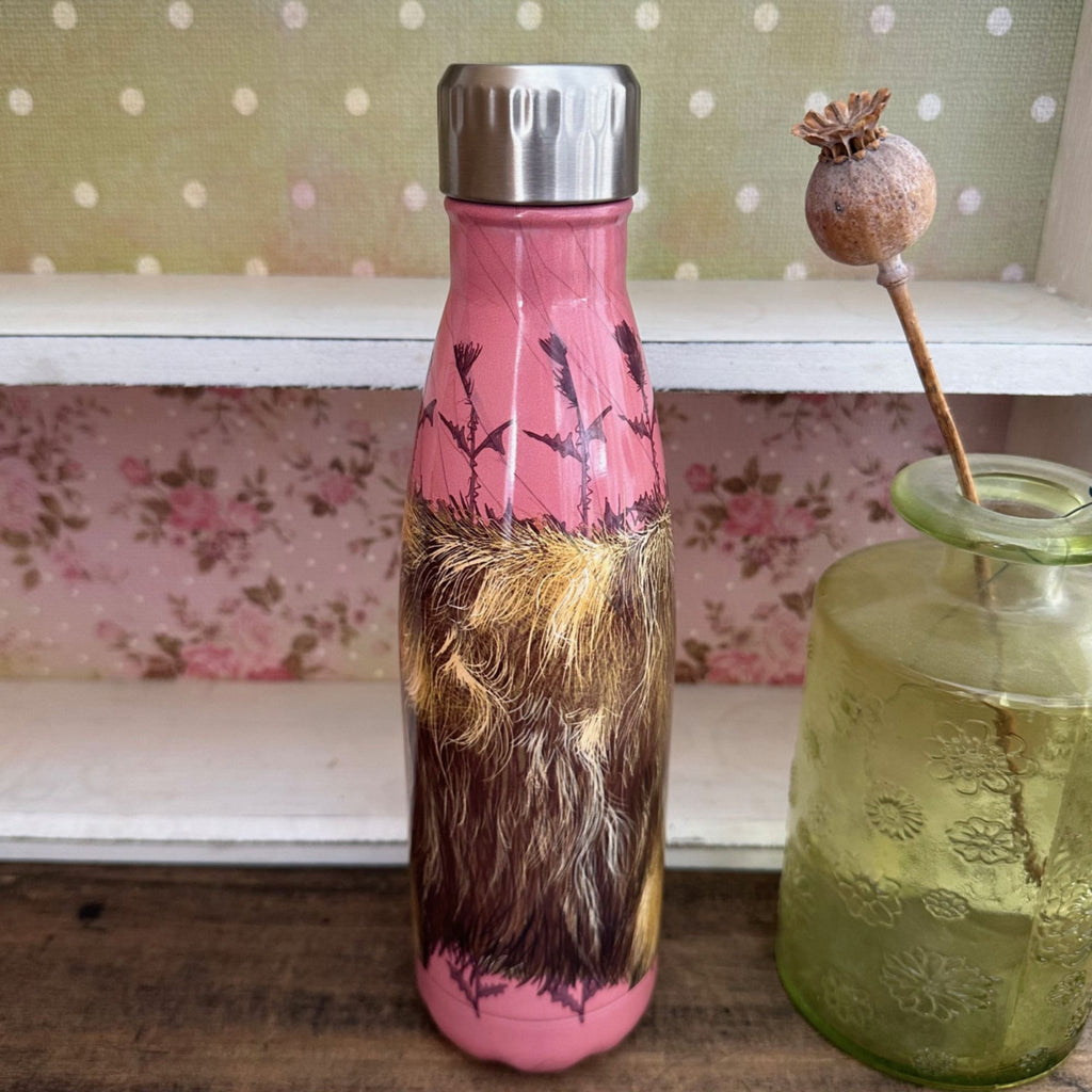 Alex Clark Highland Cow Water Bottle