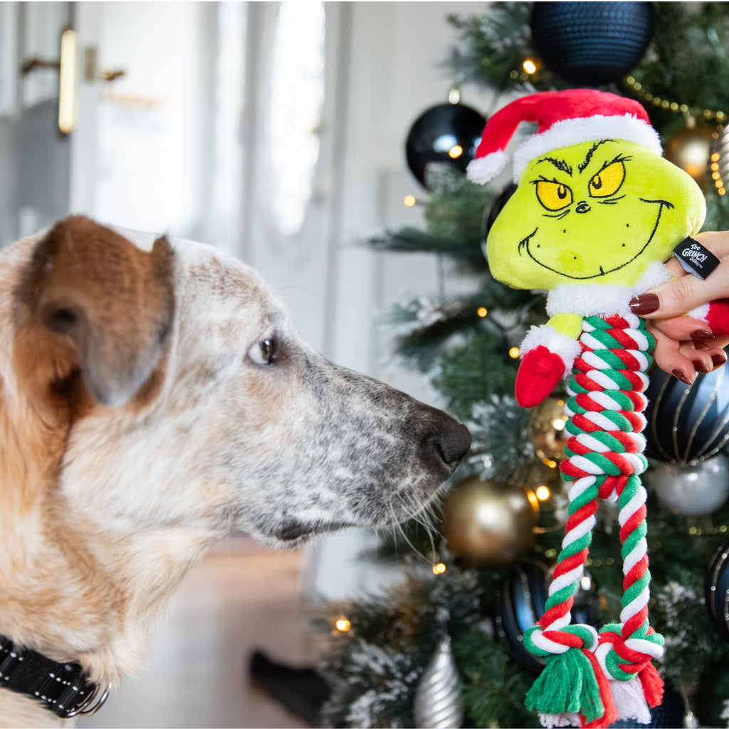 Rosewood Grinch Rope Body Toy